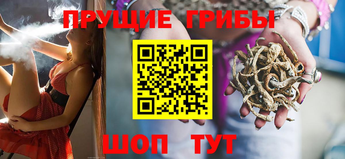 Королёв  сколько стоит  Вход с VPN  Псилоцибиновые грибы Cubensis 